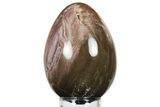 Colorful, Polished Petrified Wood Egg - Madagascar #245367-1
